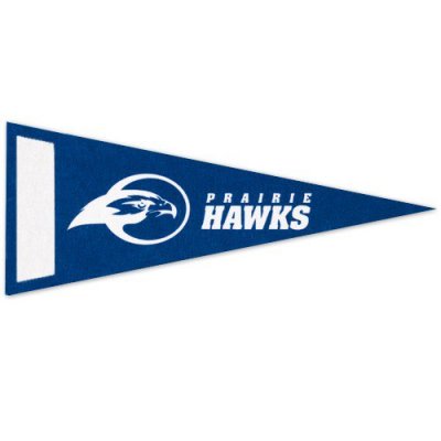 4" x 10" White Felt Pennants