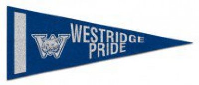 4" x 10" Colored Felt Pennants