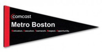 8" x 18" White Felt Pennants