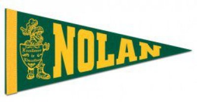 8" x 18" Colored Felt Pennants