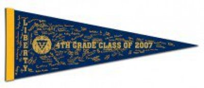 9" x 24" Colored Felt Pennants