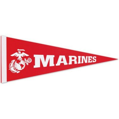 12" x 30" Colored Felt Pennants