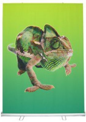 48"W x 79"H Retractable Banner & Stand Set