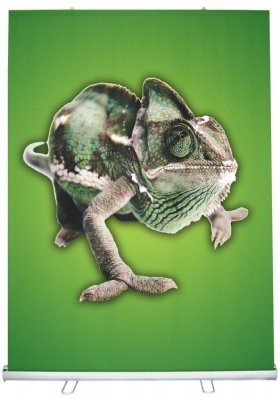 58"W x 79"H Retractable Banner & Stand Set
