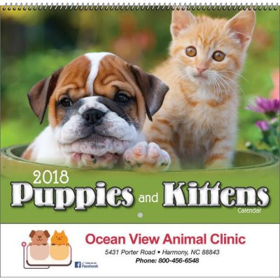 Puppies & Kittens Wall Calendar - Spiral Bound