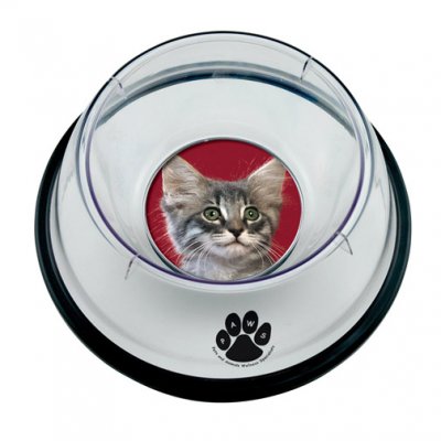 Small Pet Bowl