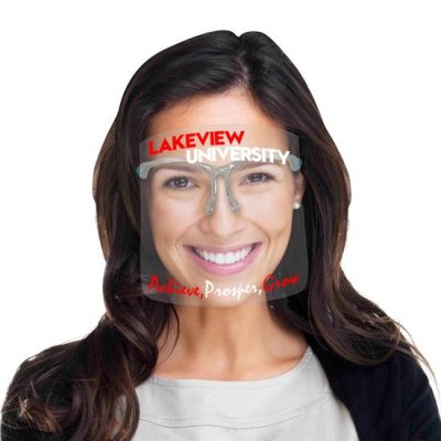 Replaceable 6" Face Shield