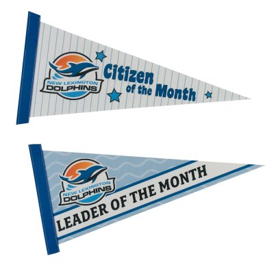 8" X 18" FULL COLOR FELT PENNANT