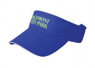 The Visor